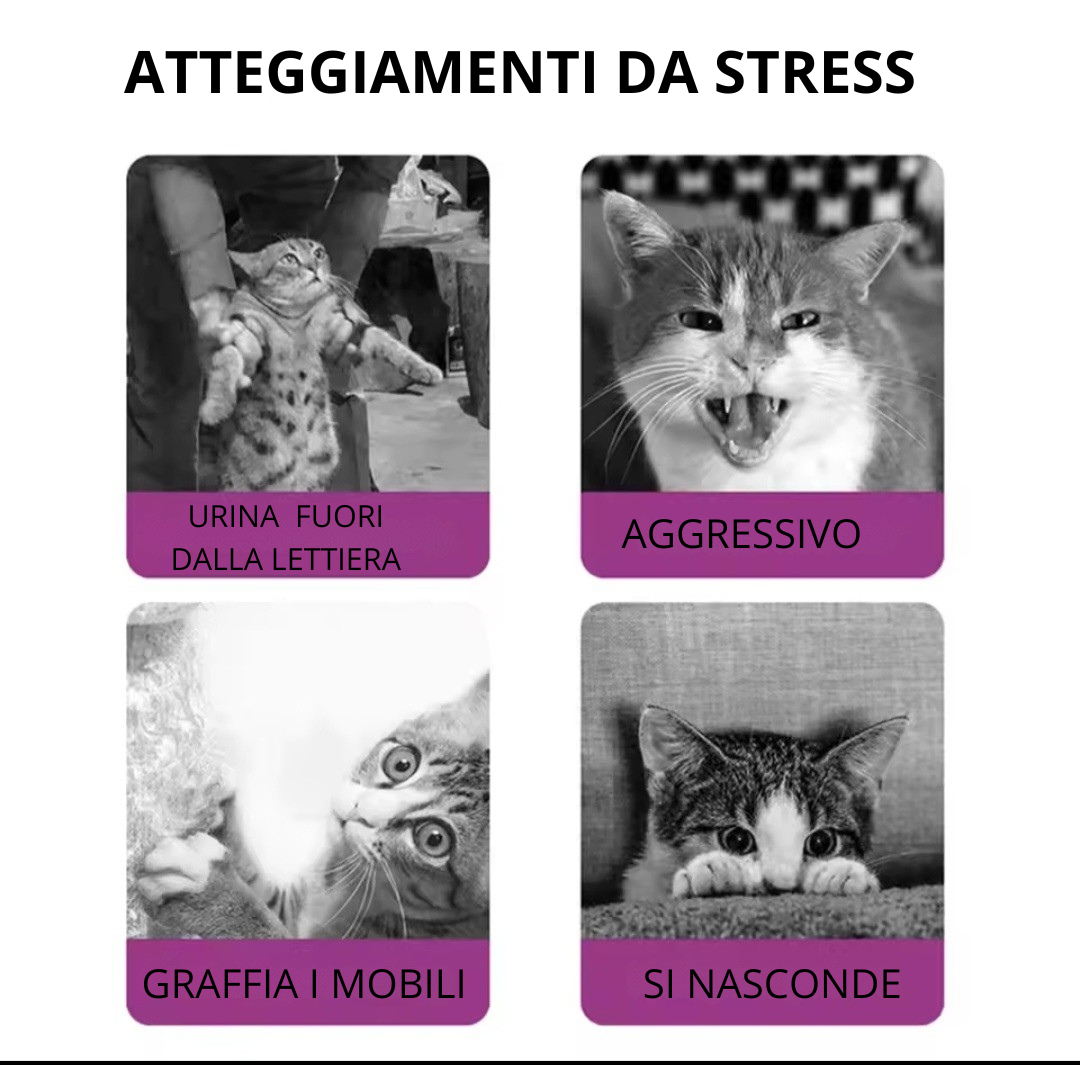 DIFFUSORE PER GATTI