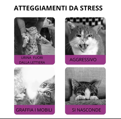 DIFFUSORE PER GATTI