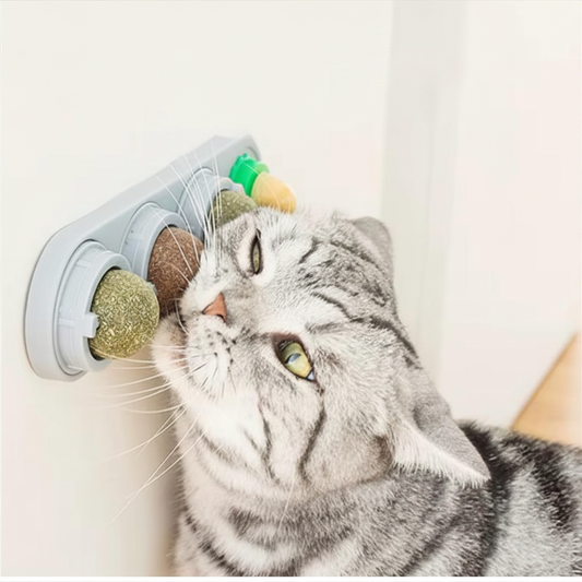 Giocattolo con palline naturali per gatti